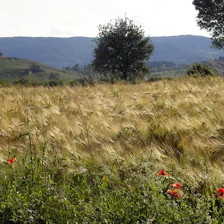 Monte Santa Maria Tiberina Sleeps 4 Pool Wifi Apartment *