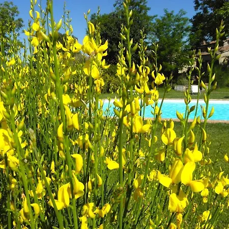 Apartment Monte Santa Maria Tiberina Sleeps 4 Pool Wifi Monteleone d'Orvieto