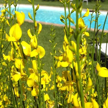 Monte Santa Maria Tiberina Sleeps 4 Pool Wifi *
